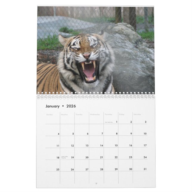 Close ups of wild animal faces 2014 calendar (Jan 2026)