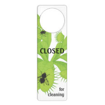 Closed for Cleaning Flytrap with Flies