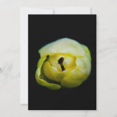 Closed tulip (Front)