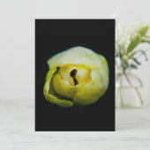 Closed tulip (Standing Front)