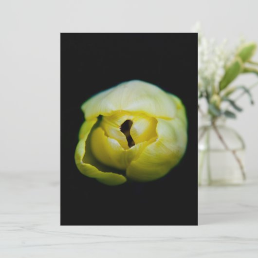 Closed tulip (Standing Front)