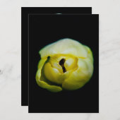 Closed tulip (Front/Back)