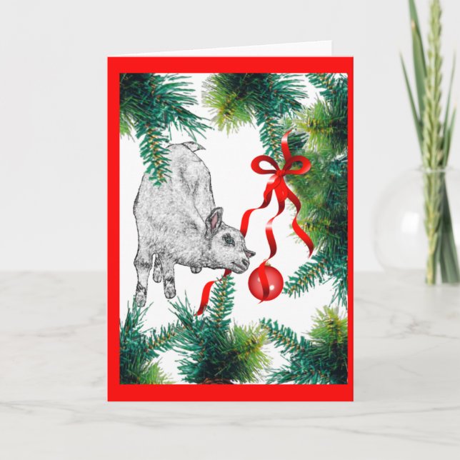 Closer Look Baby Goat Christmas Holiday Card (Front)