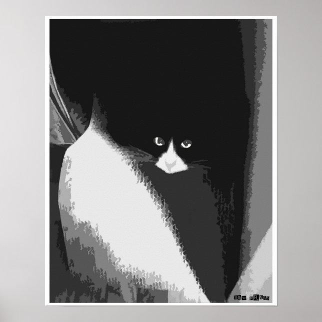 Closet Cat  Poster (Front)
