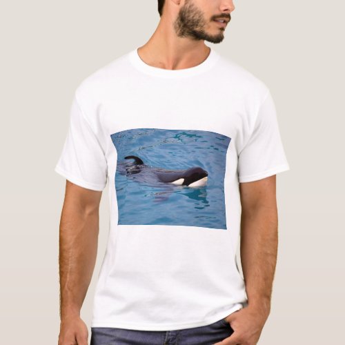 Closeup a killer whale swimming T_Shirt