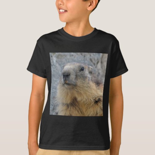 Closeup Alpine marmot T_Shirt