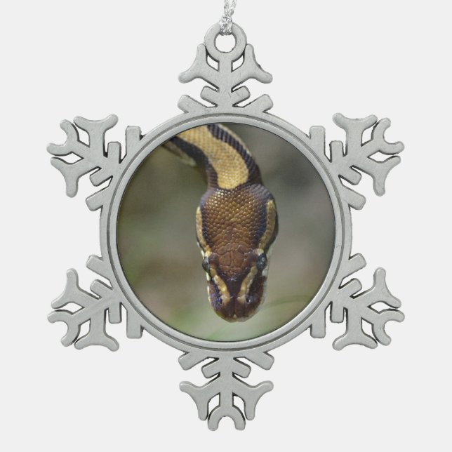 Closeup ball pythonPostcard Postcard Snowflake Pewter Christmas Ornament (Front)