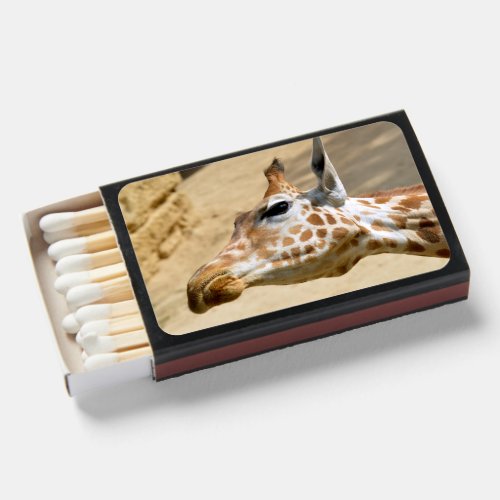 Closeup giraffe matchboxes
