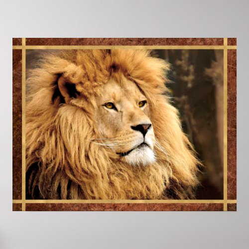 Closeup Lion Photo Poster