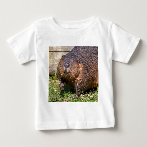 Closeup North American Beaver Baby T_Shirt