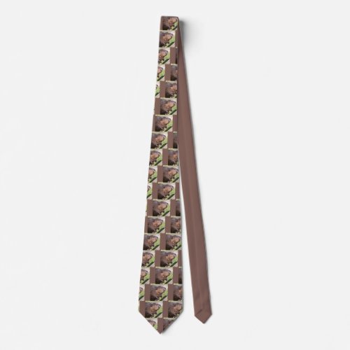 Closeup North American Beaver Castor canadensis  Neck Tie