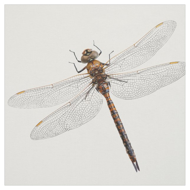 Closeup of a Canada Darner Dragonfly Fabric (Swatch)