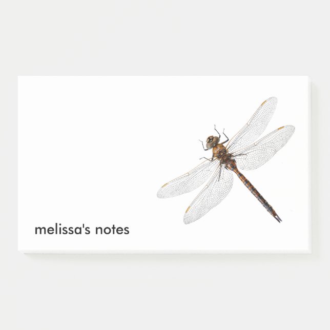 Closeup of a Canada Darner Dragonfly Post-it Notes (Front)
