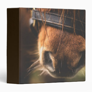 Closeup of a Cute Brown Horse Nose 3 Ring Binder
