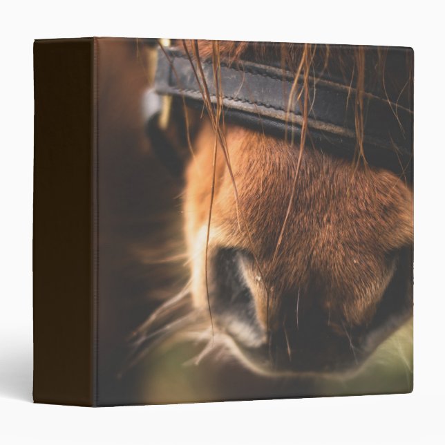 Closeup of a Cute Brown Horse Nose 3 Ring Binder (Front/Spine)