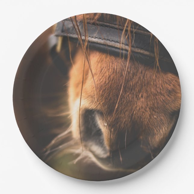 Closeup of a Cute Brown Horse Nose Paper Plates (Front)