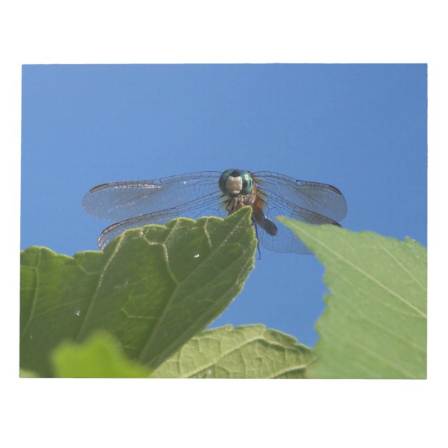 Closeup of a dragonfly against a bright blue sky notepad (Front)