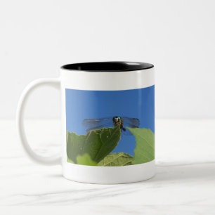 Closeup of a dragonfly against a bright blue sky Two-Tone coffee mug