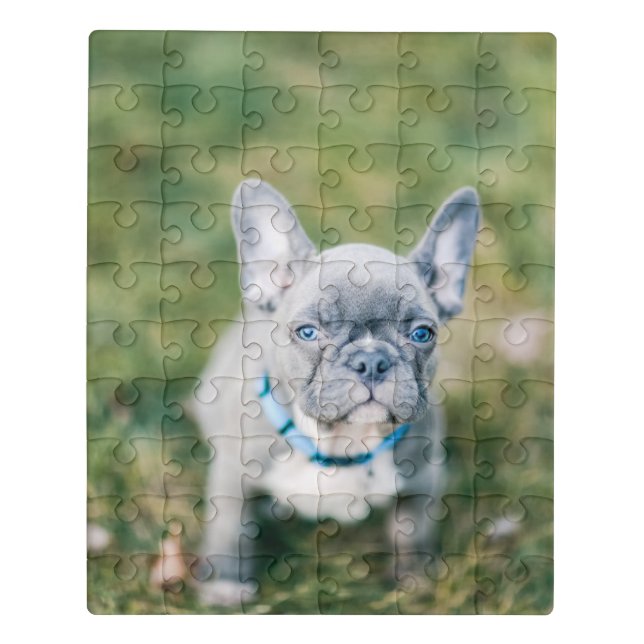 Closeup of a French Bulldog Jigsaw Puzzle (Puzzle Vertical)