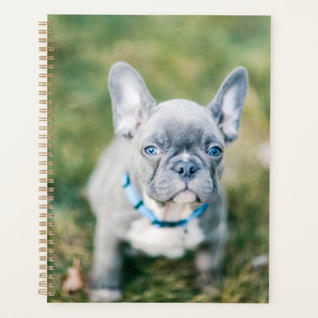 Closeup of a French Bulldog Planner (Front)
