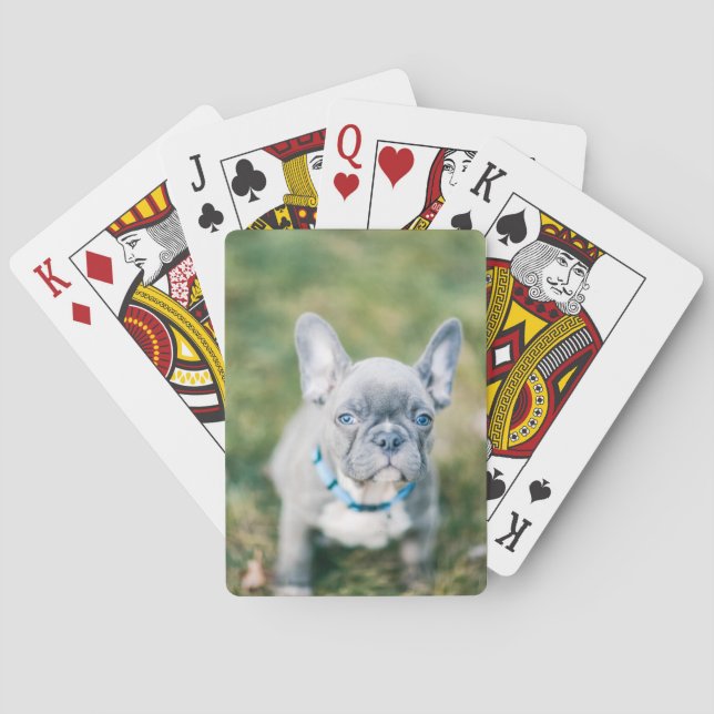 Closeup of a French Bulldog Poker Cards (Back)