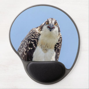 Closeup of a Juvenile Osprey Gel Mouse Pad