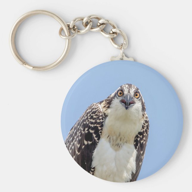 Closeup of a Juvenile Osprey Keychain (Front)