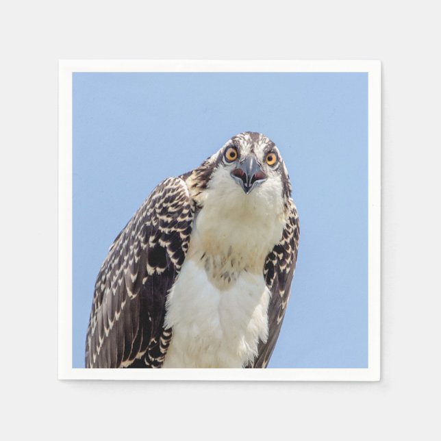 Closeup of a Juvenile Osprey Paper Napkins (Front)