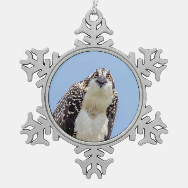 Closeup of a Juvenile Osprey Snowflake Pewter Christmas Ornament (Front)