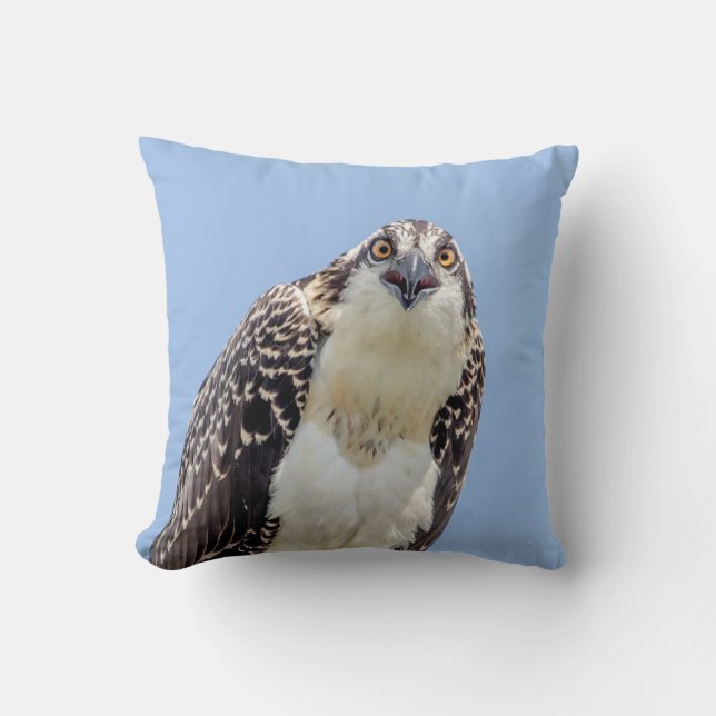 Closeup of a Juvenile Osprey Throw Pillow (Front)