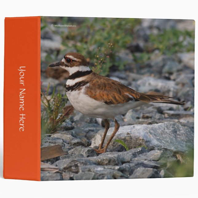 Closeup of a Killdeer Binder (Front/Spine)