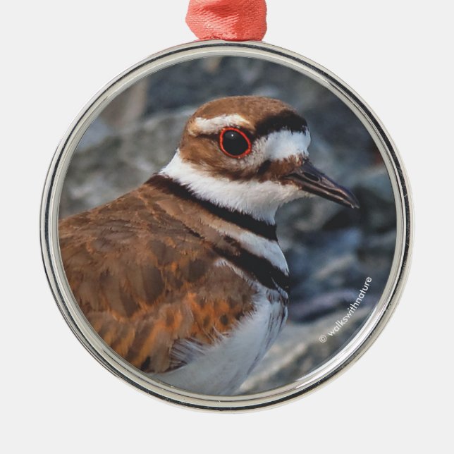 Closeup of a Killdeer Shorebird on the Rocks Metal Ornament (Front)