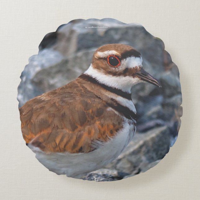 Closeup of a Killdeer Shorebird on the Rocks Round Pillow (Front)