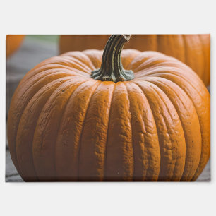 Closeup of a Pumpkin Magnet