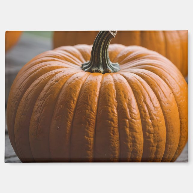 Closeup of a Pumpkin Magnet (Front)