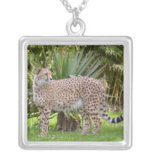 Closeup of African Cheetah Silver Plated Necklace
