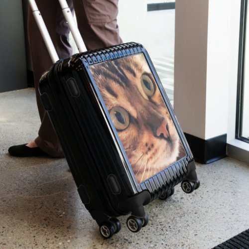 Closeup of Cat Face or Add Your Photo Luggage
