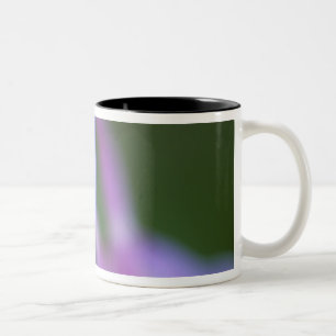 Closeup of Colorado Columbine flower. Two-Tone Coffee Mug