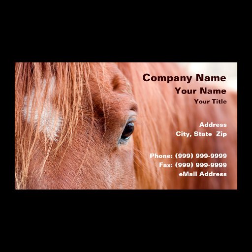 Customizable Closeup of Horse Business Card