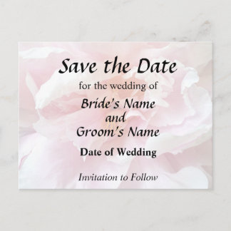 Closeup of Pale Pink Peonies Announcement Postcard