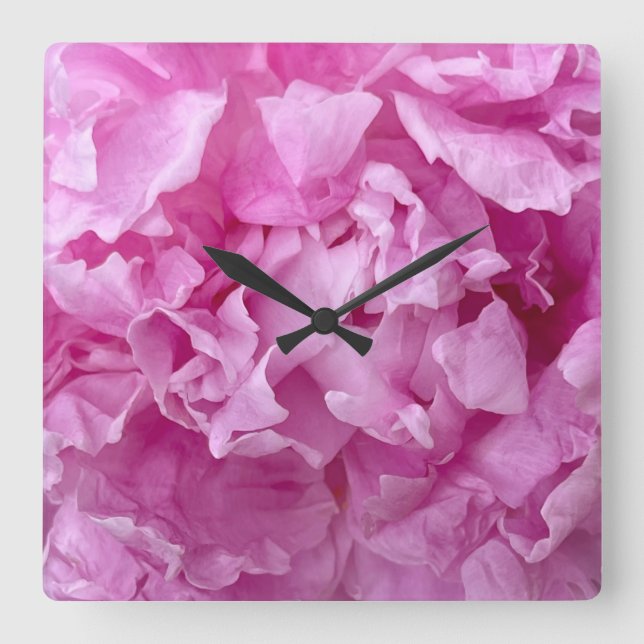 Closeup of pink peonies square wall clock (Front)