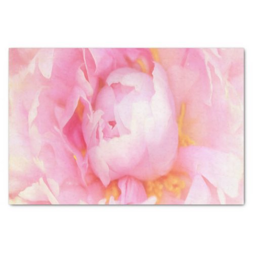 Closeup of Pink Peony Tissue Paper