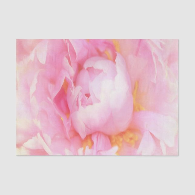 Closeup of Pink Peony Tissue Paper (Front)