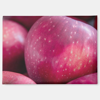 Closeup of Red Apples Magnet