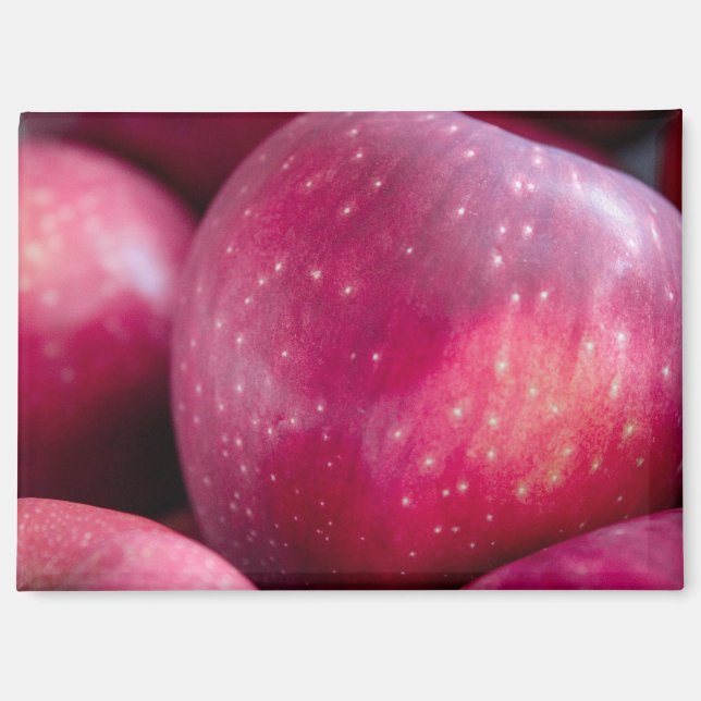 Closeup of Red Apples Magnet (Front)