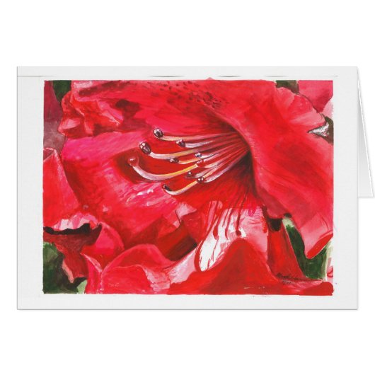 Closeup of Rhododendron Cards (Front Horizontal)
