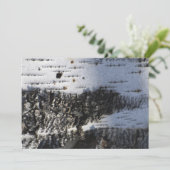 Closeup of the birch bark (Standing Front)