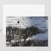 Closeup of the birch bark (Front/Back)