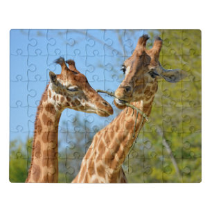 Closeup of two giraffes jigsaw puzzle