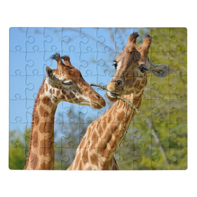 Closeup of two giraffes jigsaw puzzle (Puzzle Horizontal)